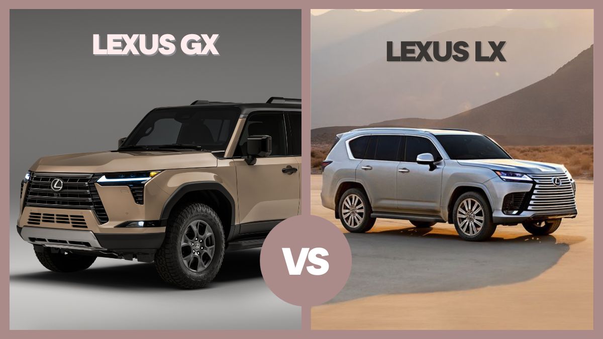 2024 Lexus GX vs Lexus LX Comparison Difference 21Motoring