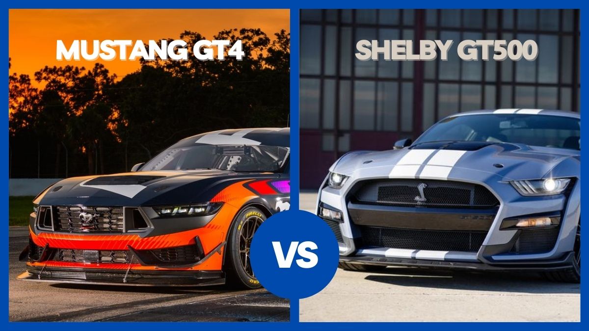 Ford Mustang Gt4 Vs Mustang Shelby Gt500 Comparison 21motoring Automotive Reviews 