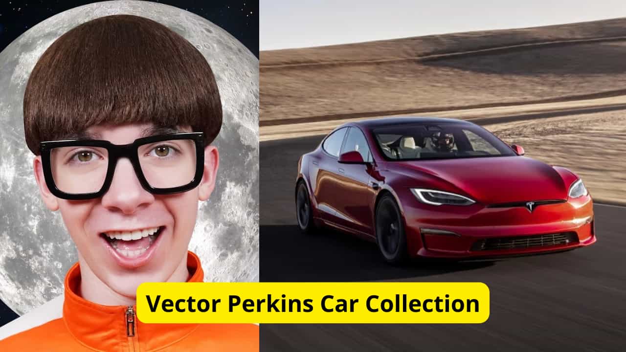 Here Are The Cars of Influencer Vector