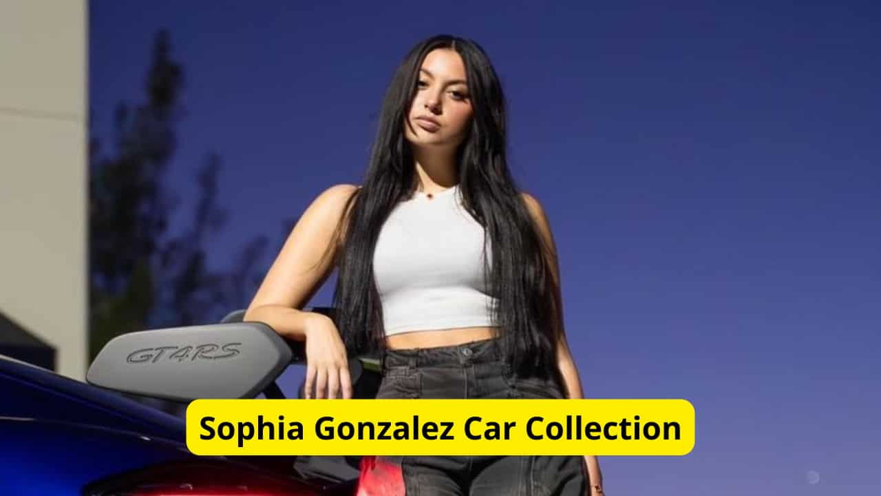 This is The Car Collection of Sophia Gonzalez