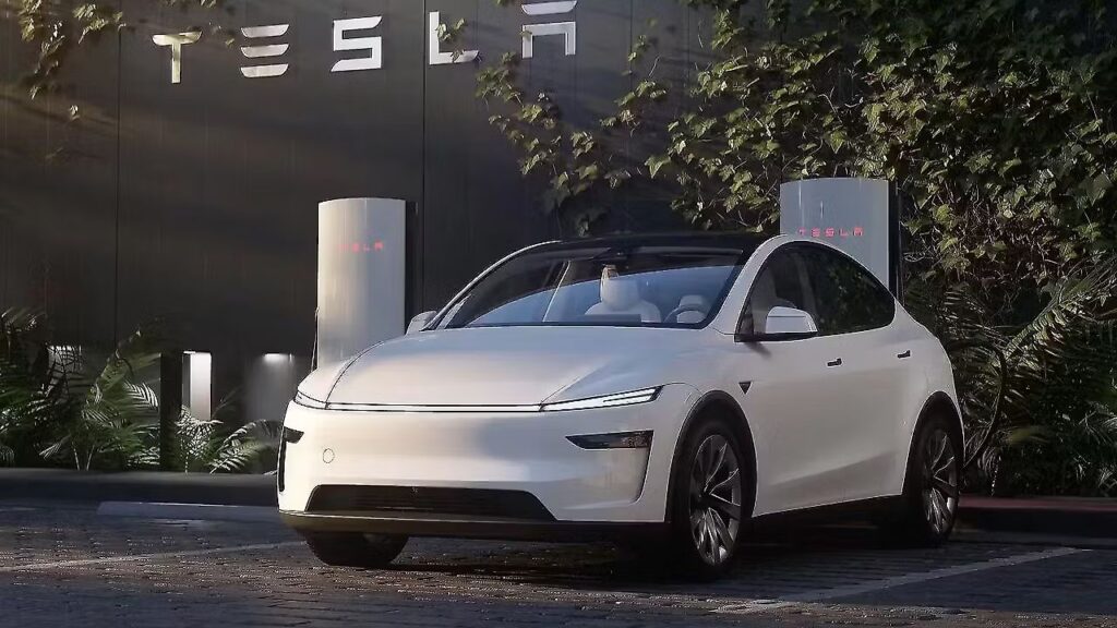 Model Y L